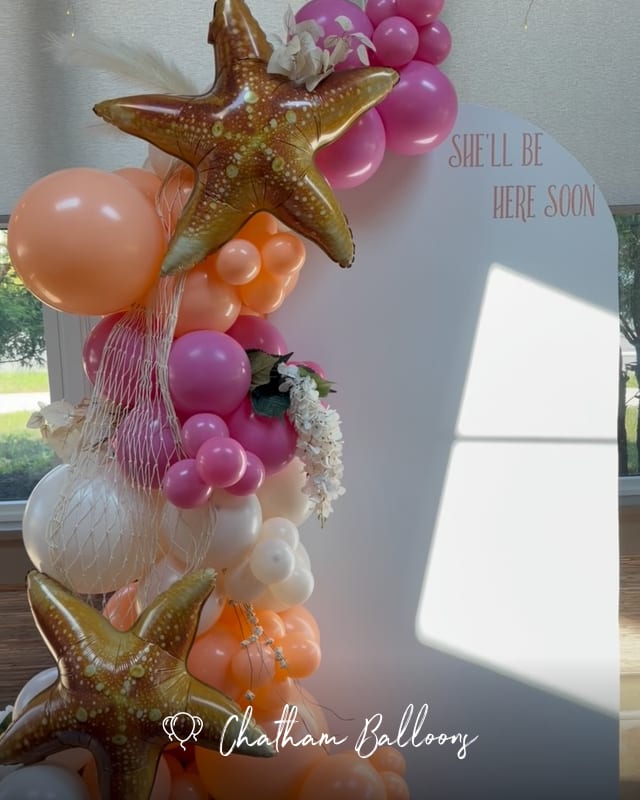 seashells and starfish for this shellabration